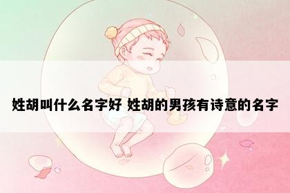 姓胡叫什么名字好 姓胡的男孩有诗意的名字